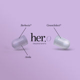 INSUBALANCE + ENERGY